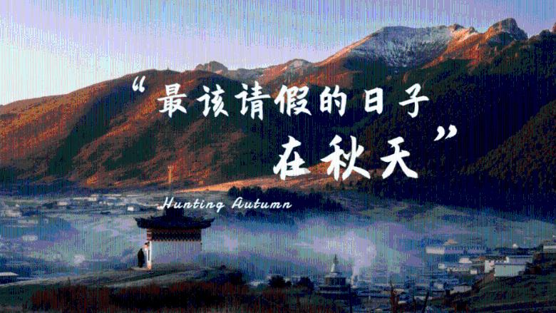 怪物猎人世界