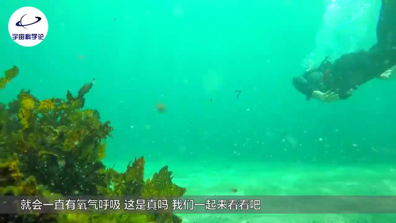 冒险家工会