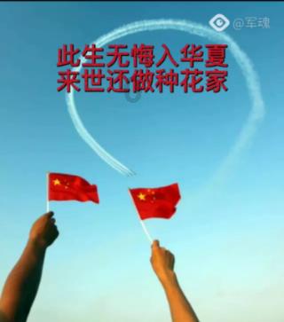 犀牛森林大逃生