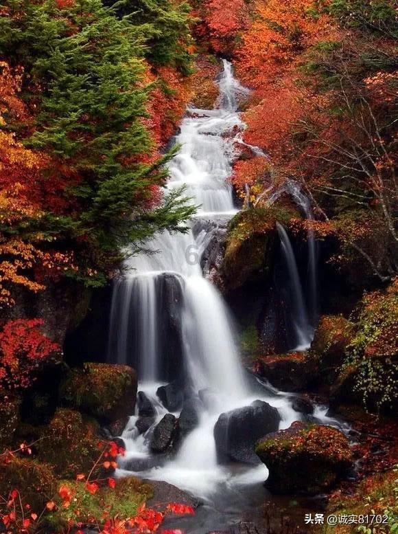 逃离冰淇淋岛屿