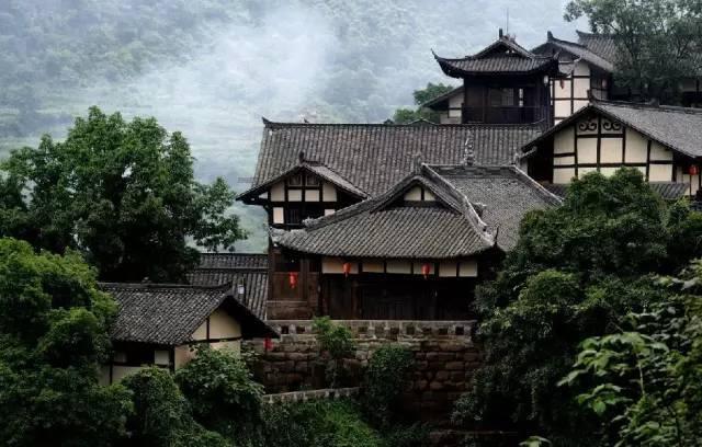 救援可爱的洋葱